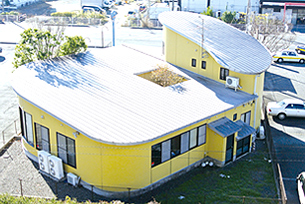 上から見た写真