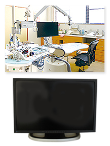 �f�W�^�������g�Q��